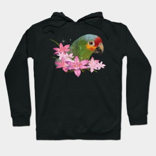 Red-fronted Amazon Hoodie